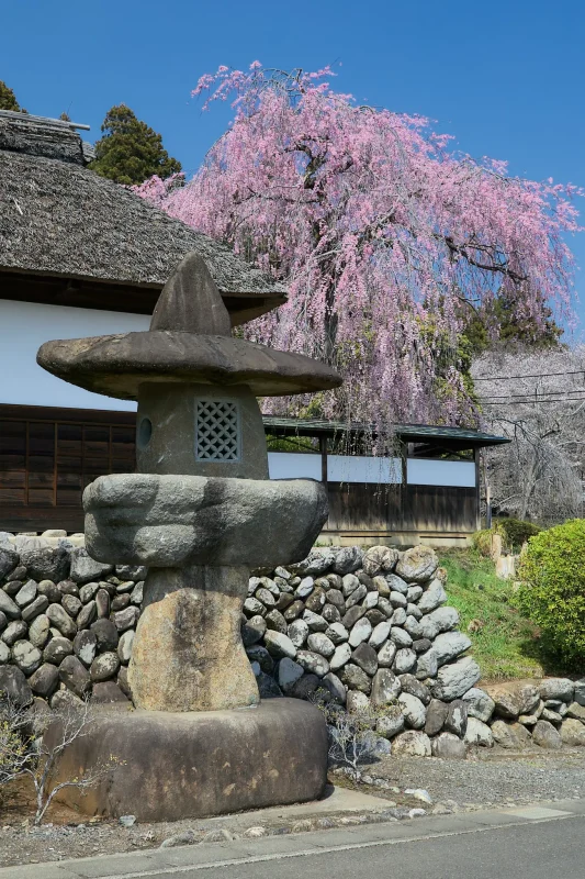 Canon EOS-1D + Canon EF24-70mm F2.8L II USM