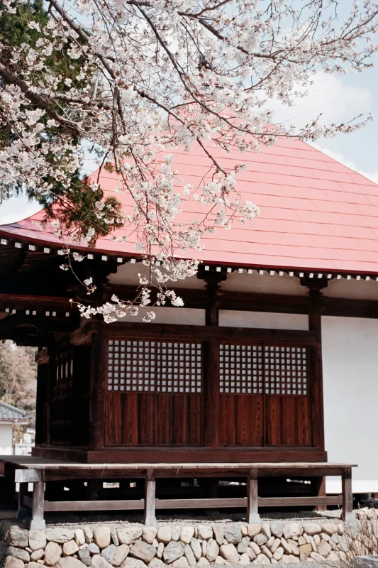 Leica M7 + Leica APO-Summicron M f2.0/50mm ASPH. (Kodak COLOR PLUS 200)