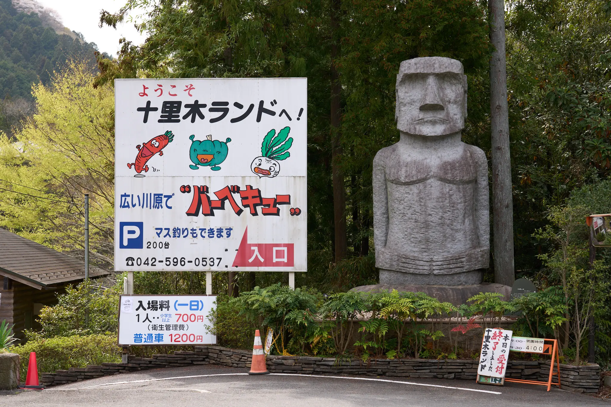 SONY α1 + SONY FE 24-105mm F4 G OSS