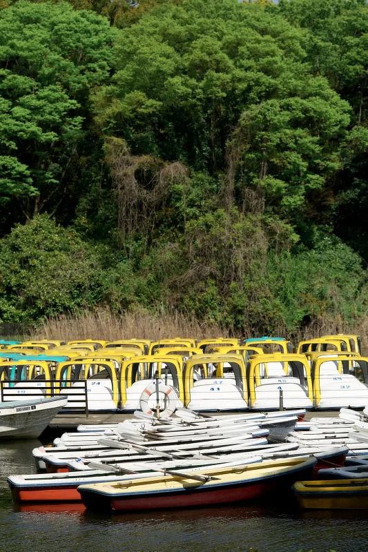 Canon EOS-1D + Canon EF100mm F2.8 Macro USM