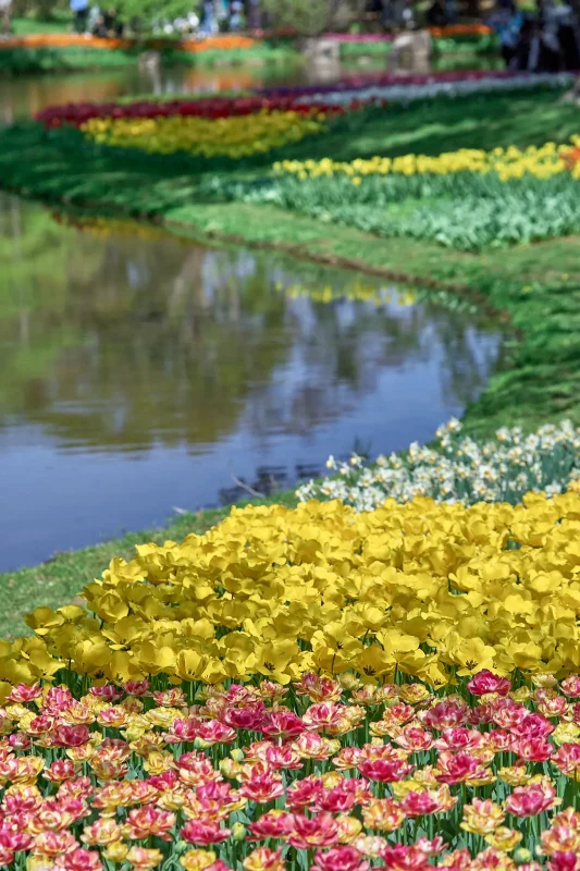 Canon EOS-1D + Canon EF100mm F2.8 Macro USM