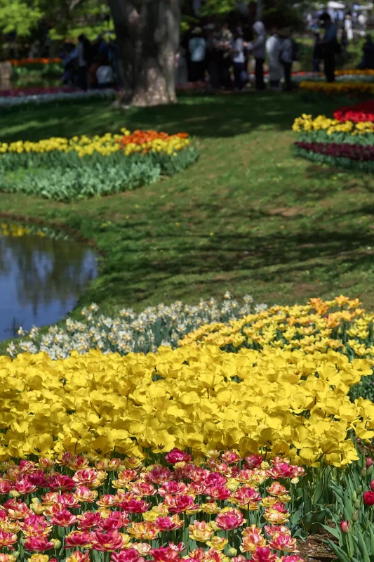 Canon EOS-1D + Canon EF100mm F2.8 Macro USM