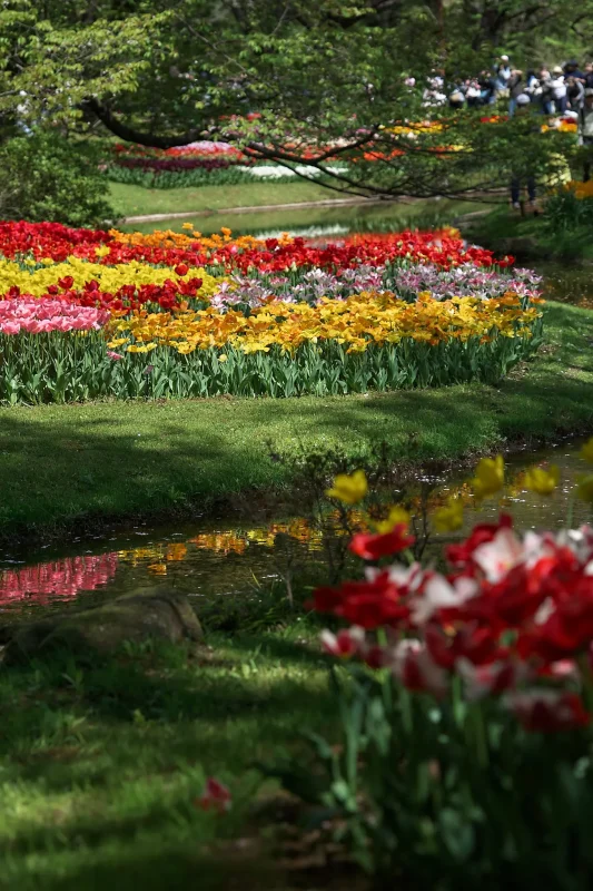 Canon EOS-1D + Canon EF100mm F2.8 Macro USM