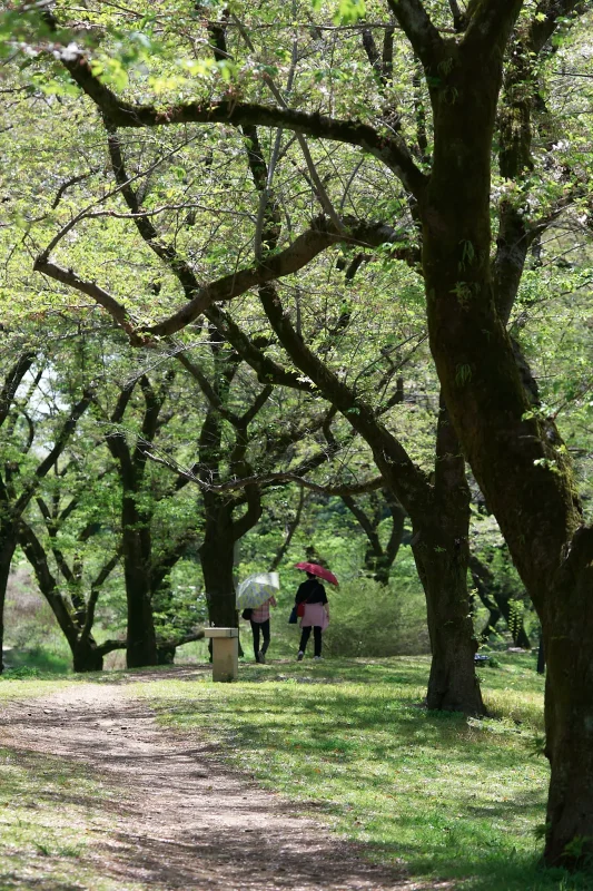 Canon EOS-1D + Canon EF100mm F2.8 Macro USM