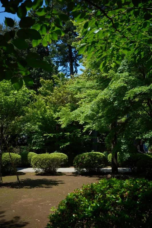 RICOH GR IIIx