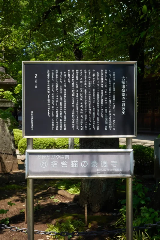 RICOH GR IIIx
