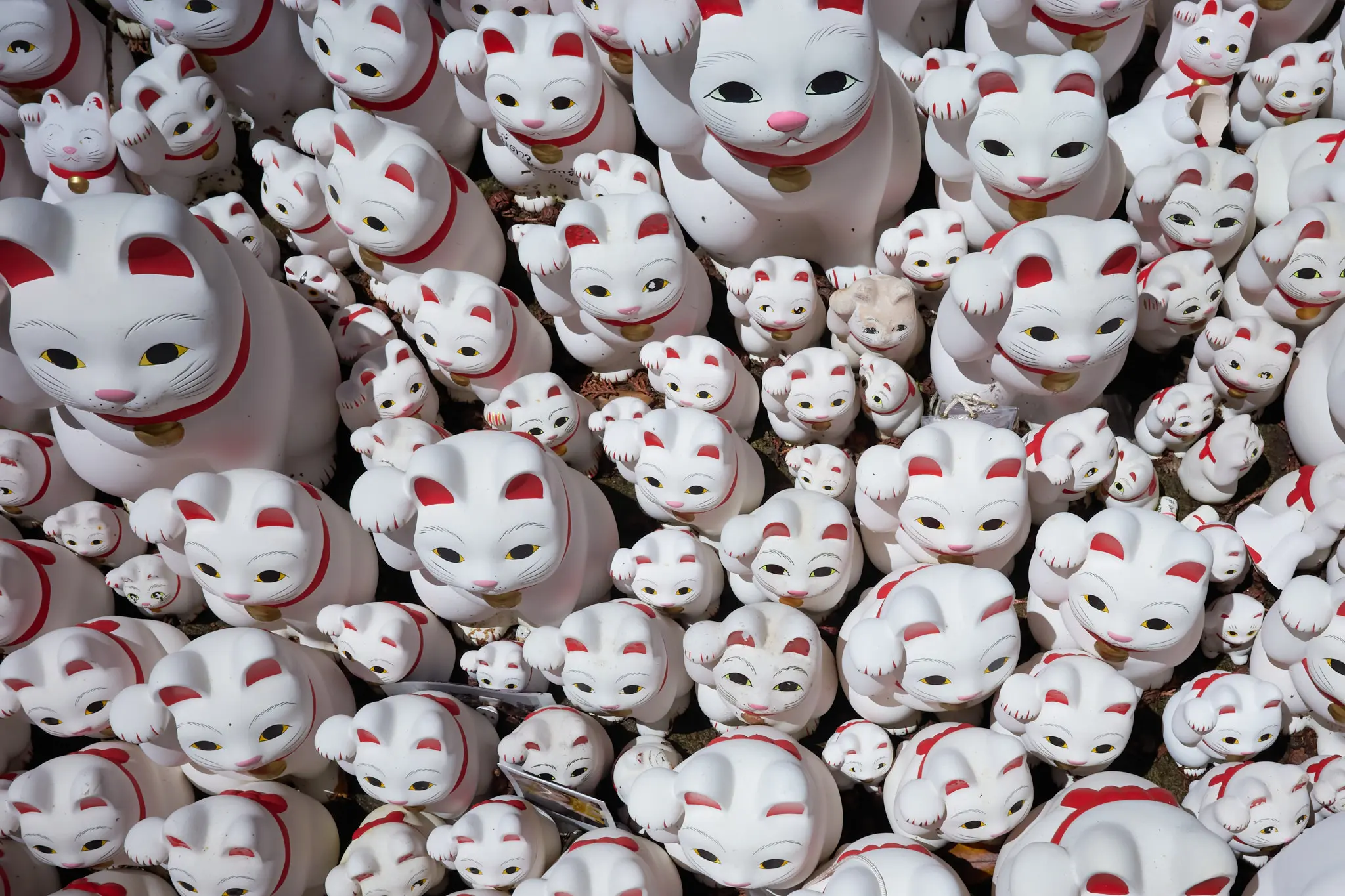 緑がキレイなGWの豪徳寺は○○だらけ！