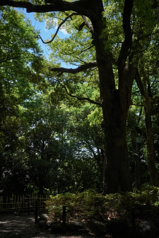 RICOH GR IIIx