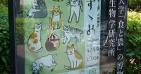 世田谷八幡宮からの企画展「猫のすゝめ」＠東京農業大学