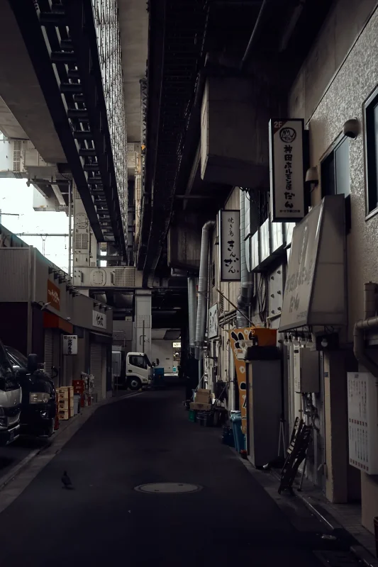 EPSON R-D1x + ZEISS Biogon T* 2.8/28 ZM