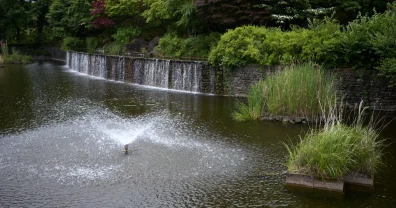 写真だけでも涼し気なものを…