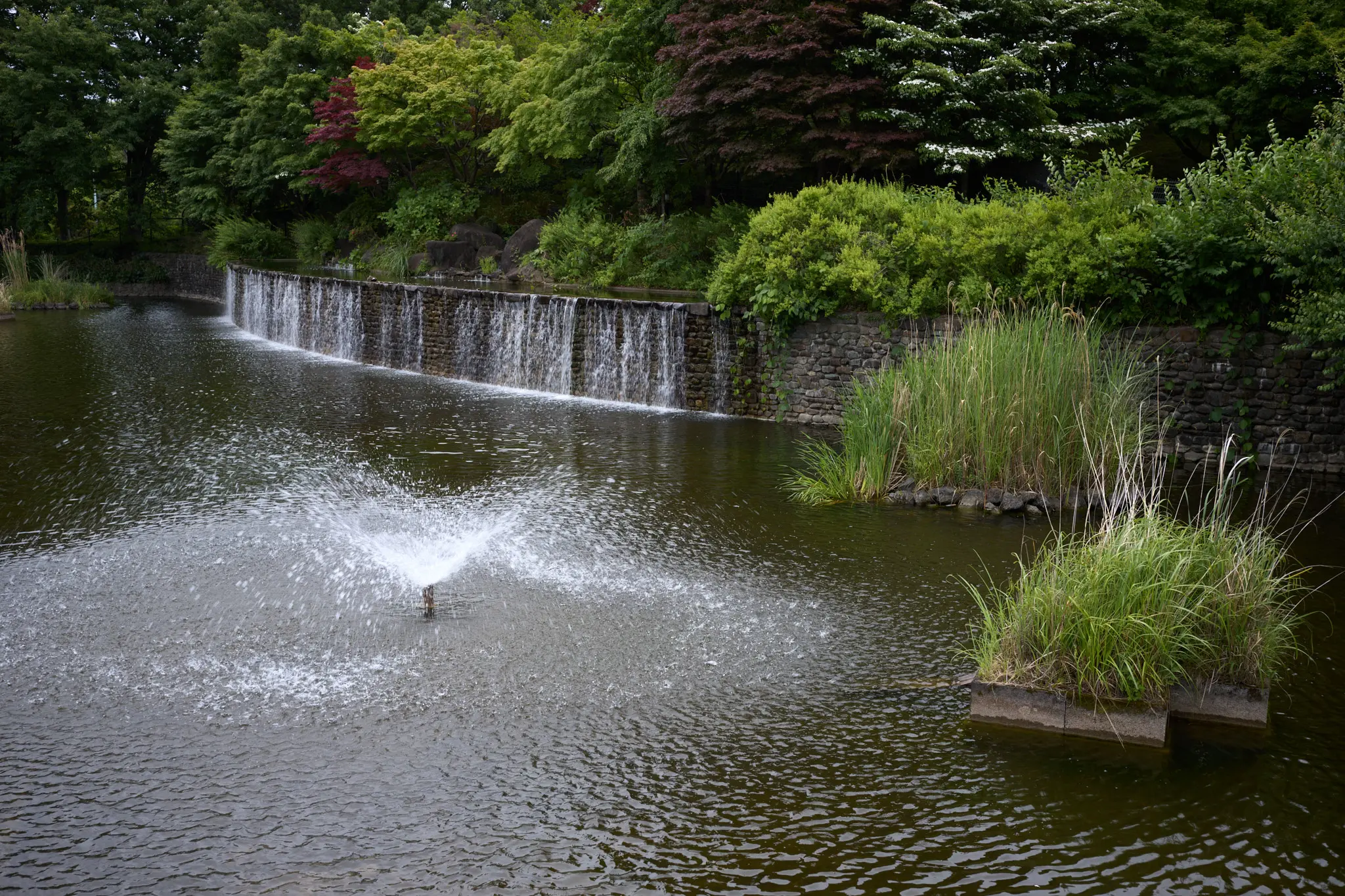 写真だけでも涼し気なものを…
