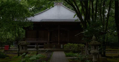 武蔵国分寺、深い緑の雰囲気が良いのよ！
