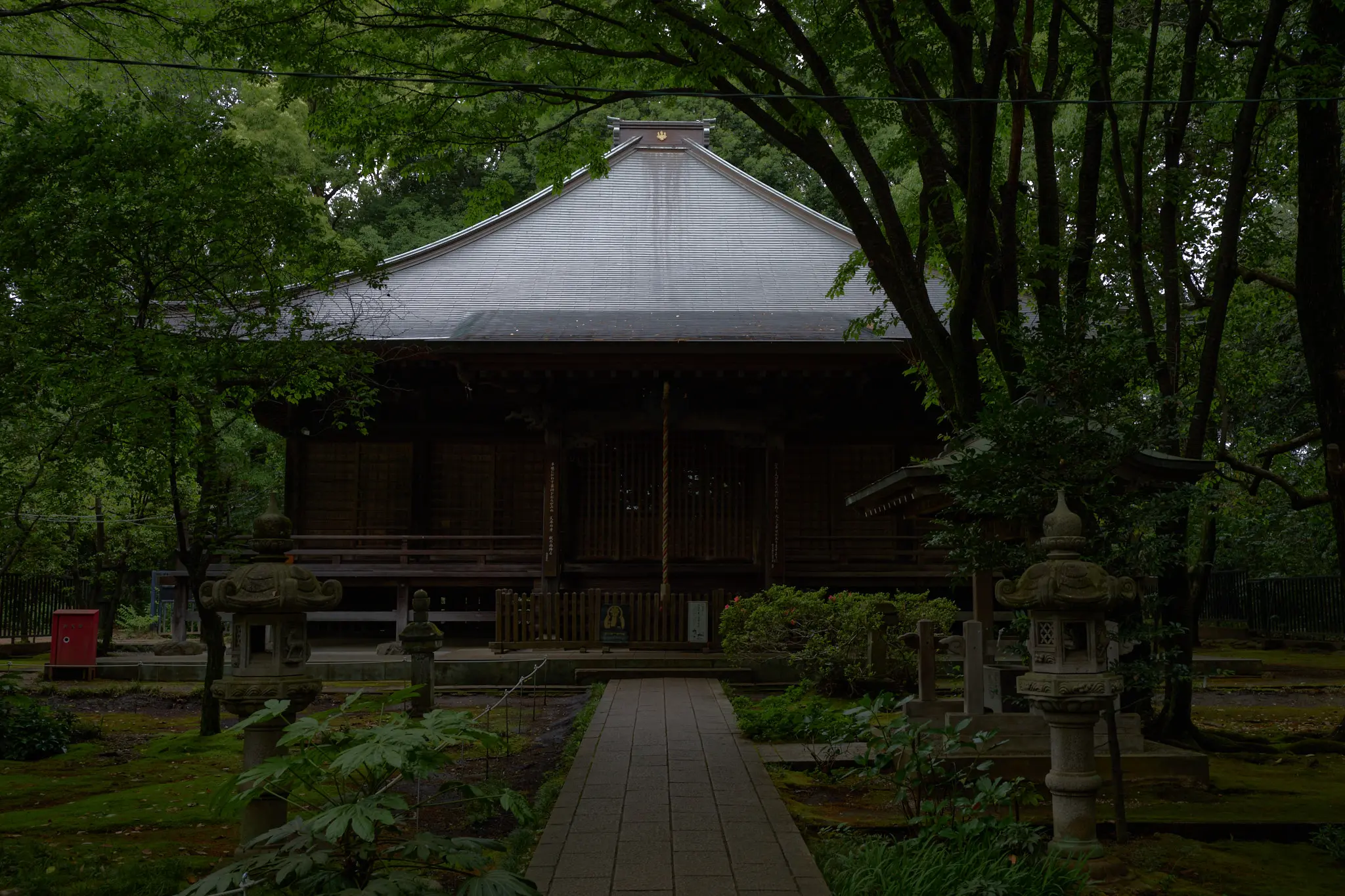 武蔵国分寺、深い緑の雰囲気が良いのよ！