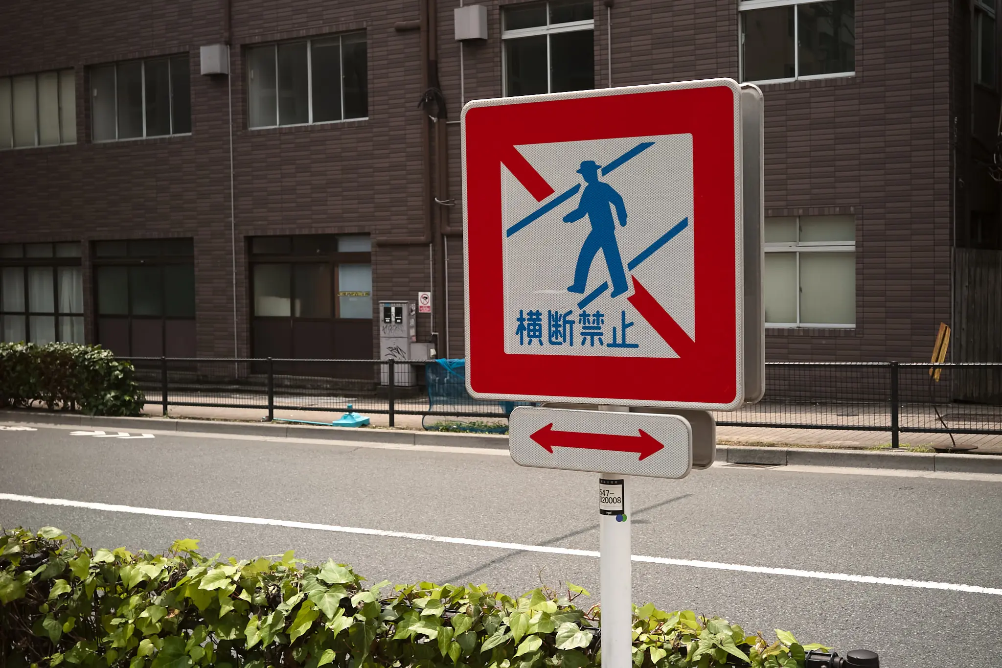 EPSON R-D1x + CONTAX Biogon T*28mm F2.8(G)