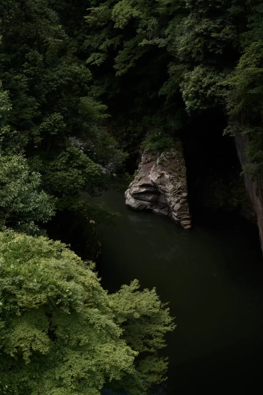 Leica M11 + Leica APO-Summicron M f2.0/50mm ASPH.
