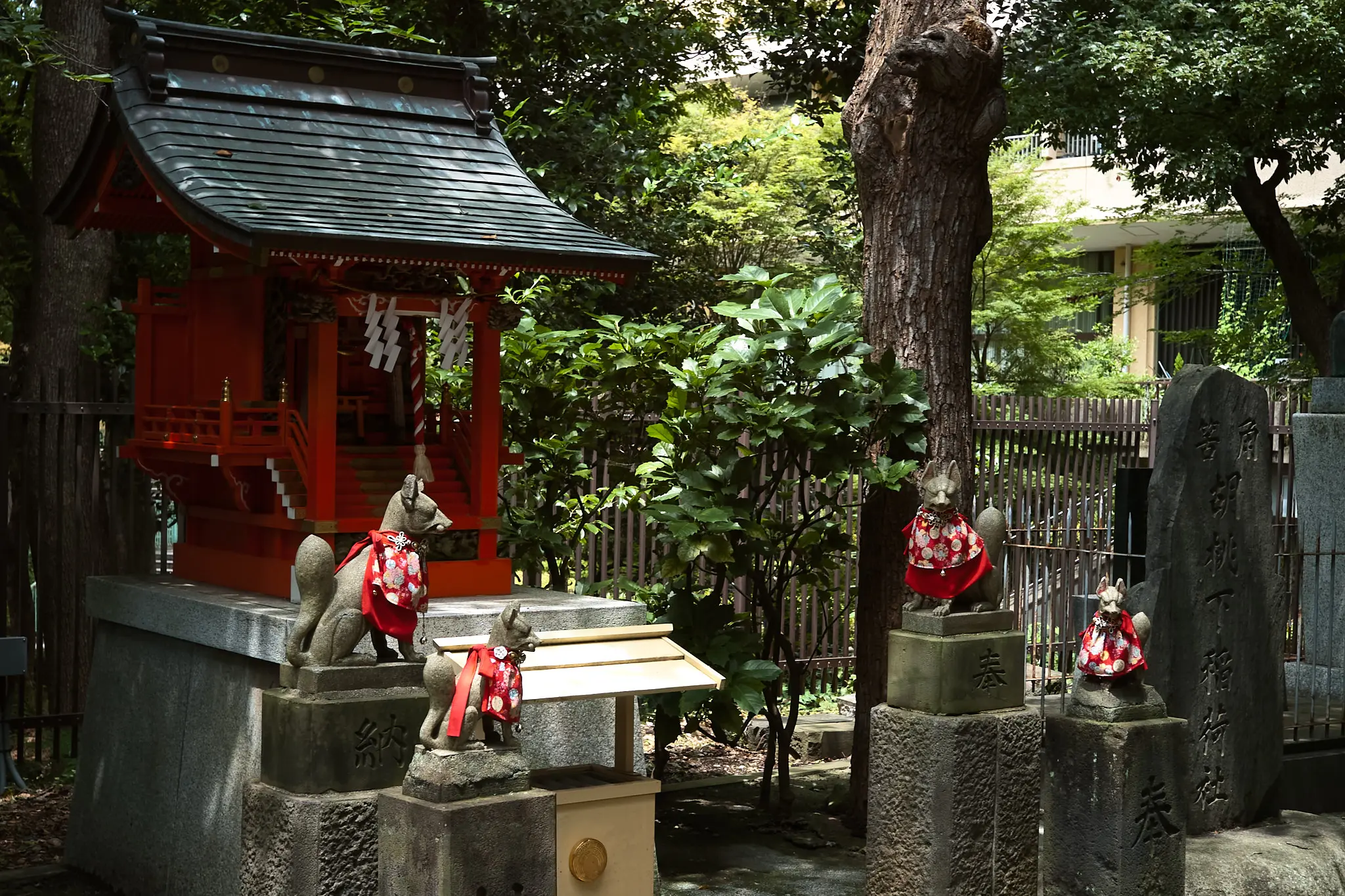 EPSON R-D1x + ZEISS C Biogon T* 2.8/35 ZM