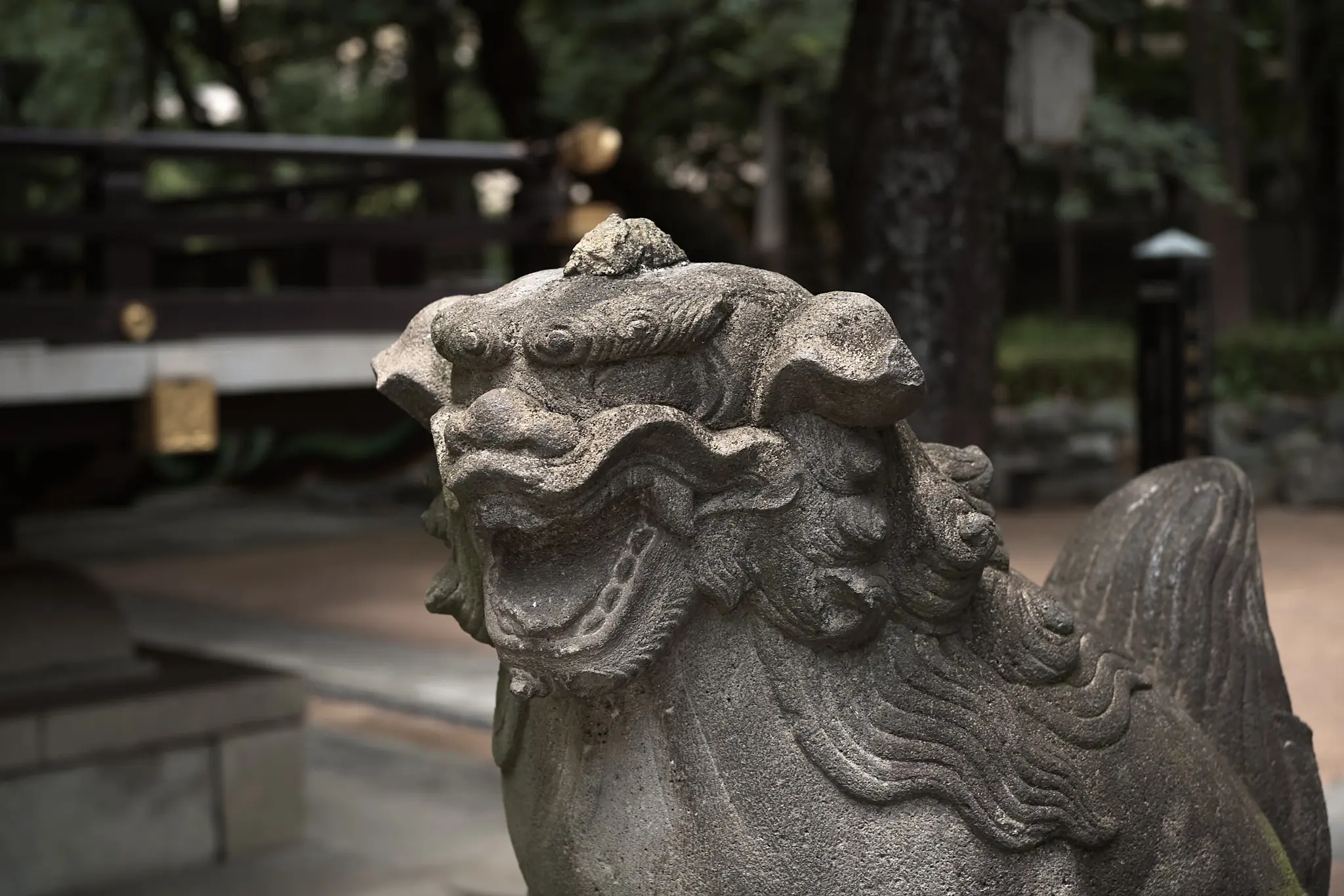 EPSON R-D1x + ZEISS C Biogon T* 2.8/35 ZM