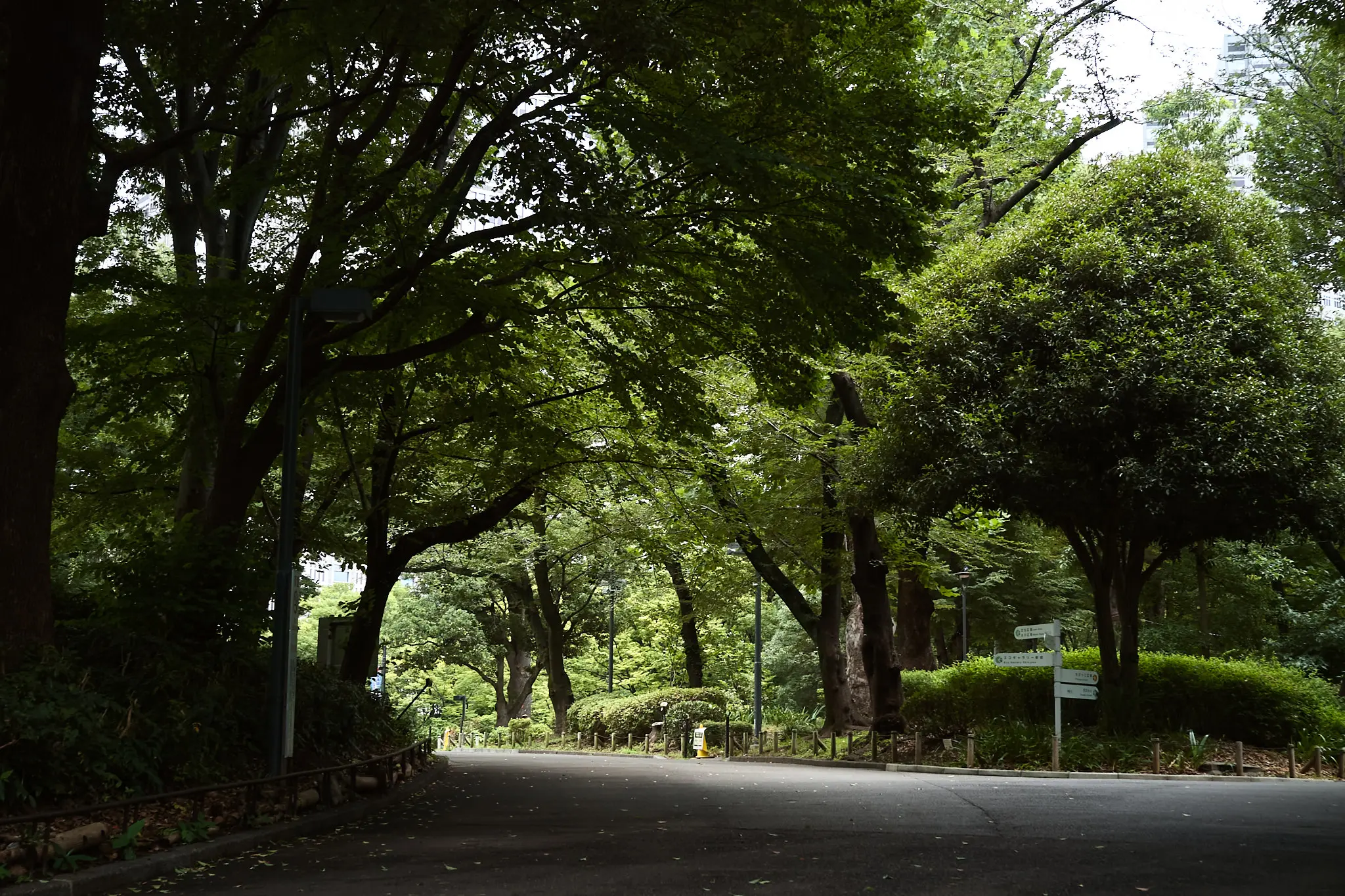 EPSON R-D1x + ZEISS C Biogon T* 2.8/35 ZM
