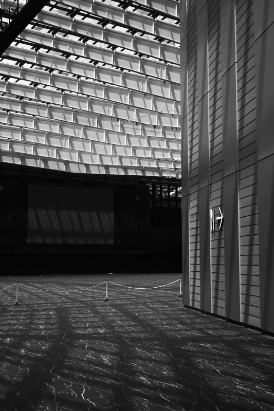 EPSON R-D1x + ZEISS C Biogon T* 2.8/35 ZM