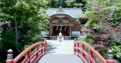 お盆休みにGW明けの写真を出しても良いですか？