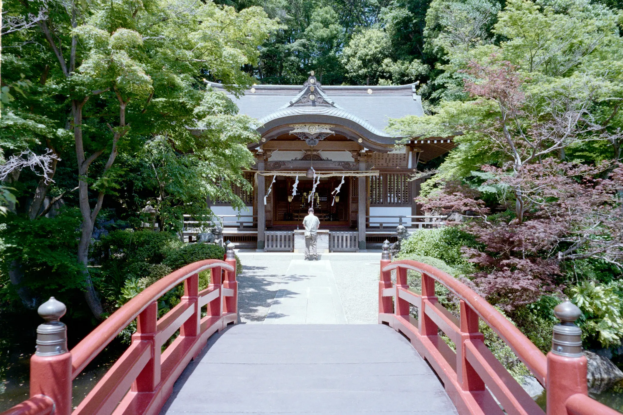 お盆休みにGW明けの写真を出しても良いですか？