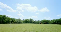 緑の多い府中の森公園は癒しのスポット