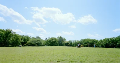 緑の多い府中の森公園は癒しのスポット
