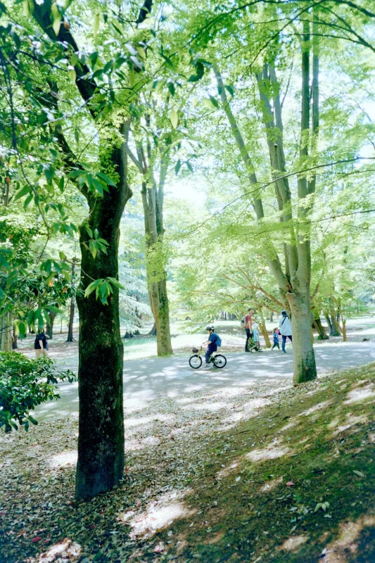MINOLTA TC-1 (Kodak COLOR PLUS 200)
