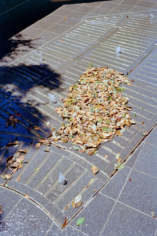 Leica M7 + ZEISS C Biogon T* 2.8/35 ZM (Kodak COLOR PLUS 200)