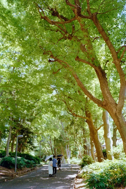 Leica M7 + ZEISS C Biogon T* 2.8/35 ZM (Kodak COLOR PLUS 200)