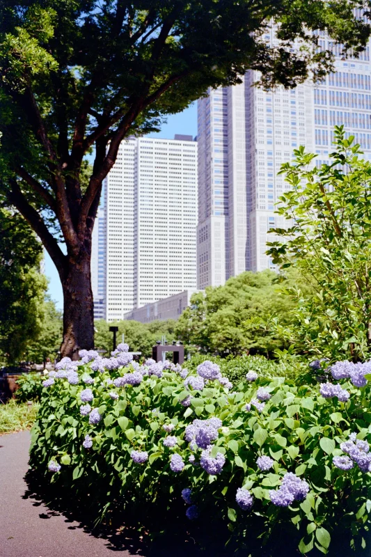 Leica M7 + ZEISS C Biogon T* 2.8/35 ZM (Kodak COLOR PLUS 200)